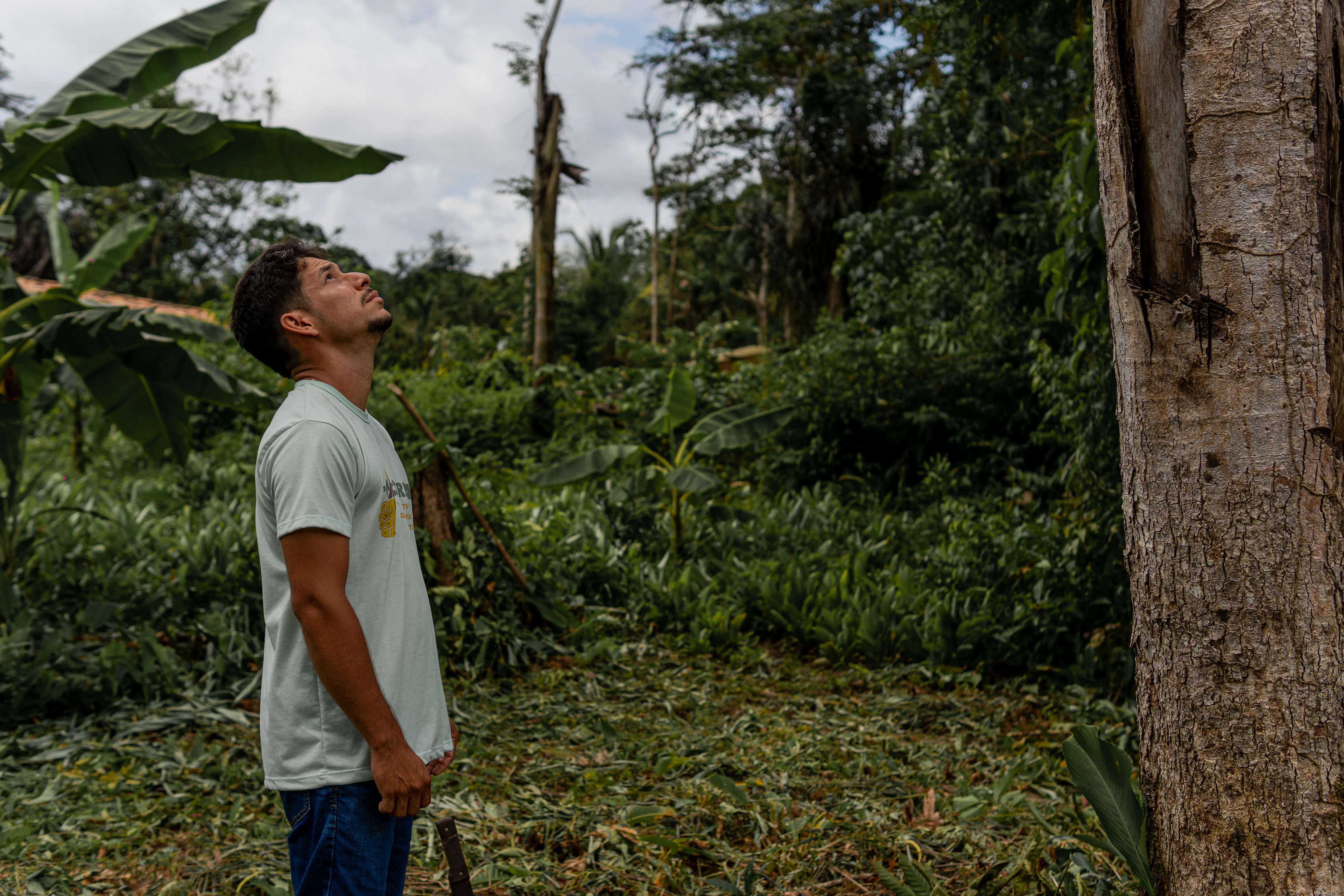 UFPA - ENACTUS — Aruanas Alimentos