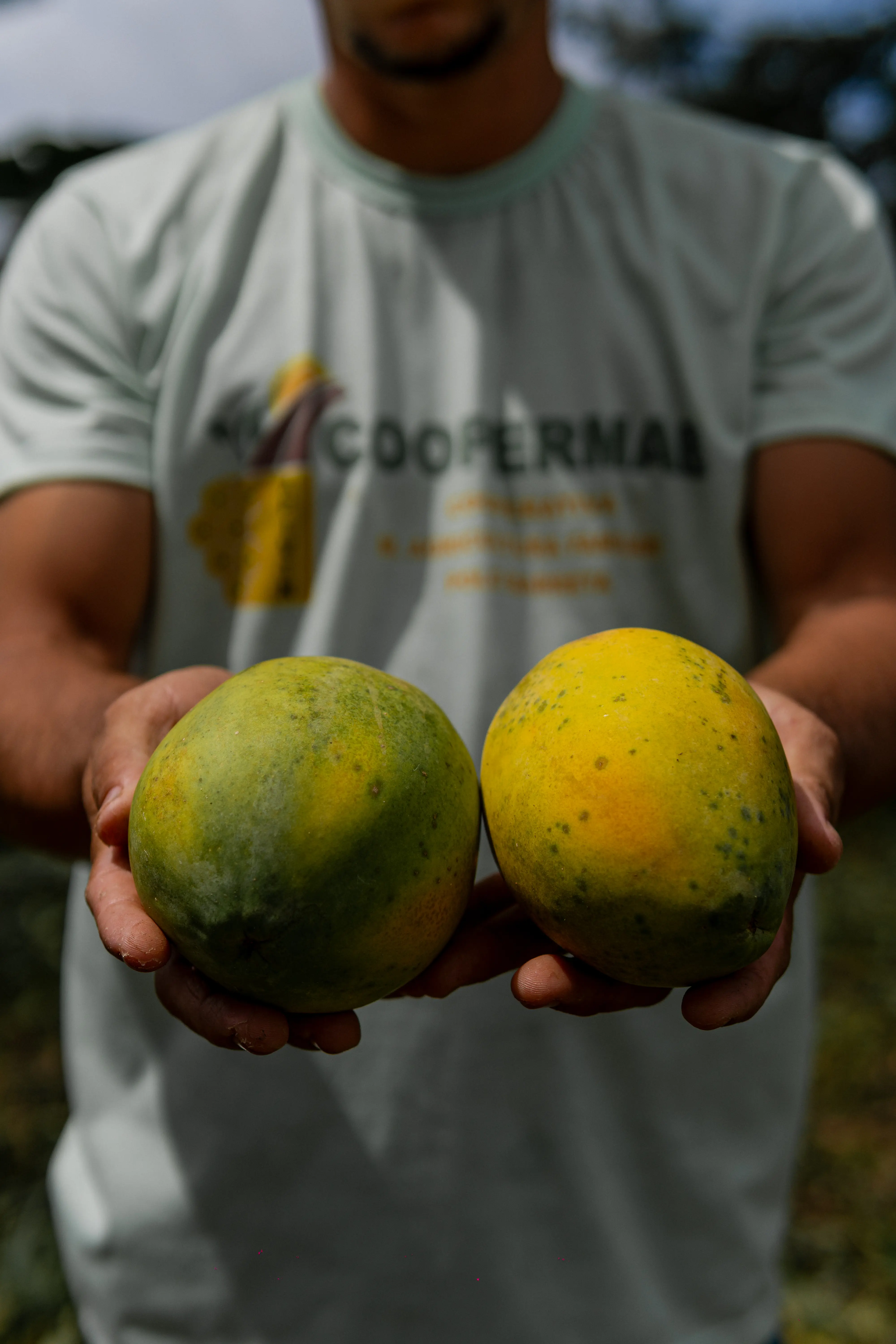 UFPA - ENACTUS — Aruanas Alimentos